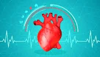 保護健康心臟常識-日常養護心臟的要訣:有心煩心悸氣短&amp;呼吸有壓力感的朋友可試試看!
