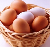 吃雞蛋的錯誤觀念&如何正確食用雞蛋的四樣方法:雞蛋營養&功效的認知!