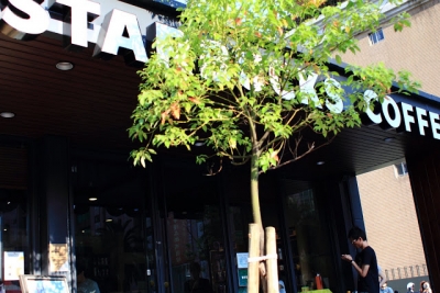 星巴克咖啡(Starbucks coffee)-心靈花園：統一星巴克綠色概念門市創舉，讓我們一探究竟！